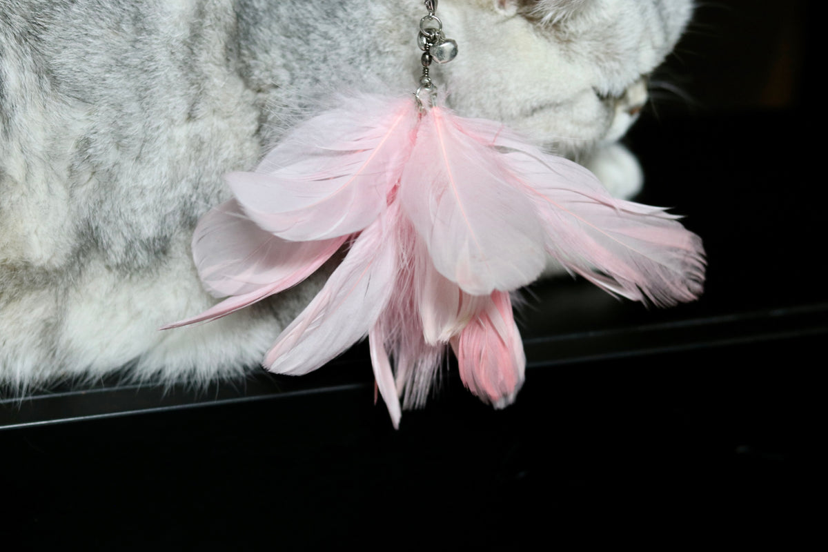 Cat feather pack of 2