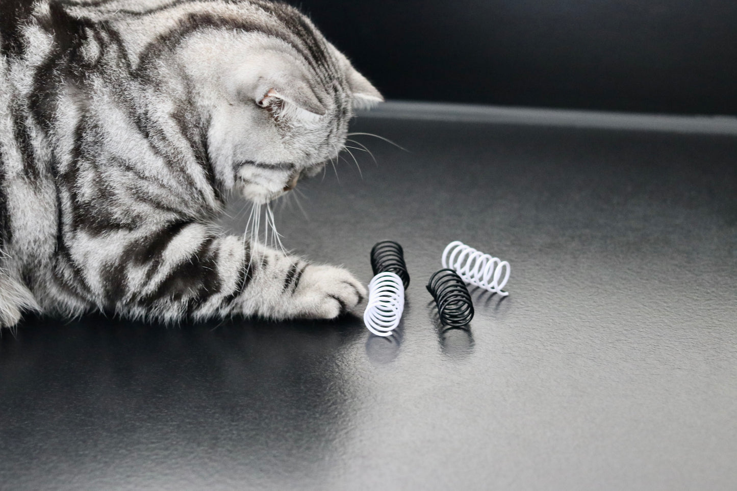 Schwarz-weiße Spielzeug-Spiralen für Katzen