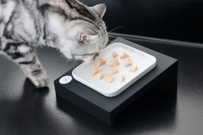 Weihnachtsbox „Pfötchenzauber“ – Das liebevollste Geschenk für dich und deinen Stubentiger