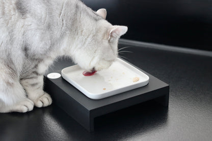 Weihnachtsbox „Pfötchenzauber“ – Das liebevollste Geschenk für dich und deinen Stubentiger