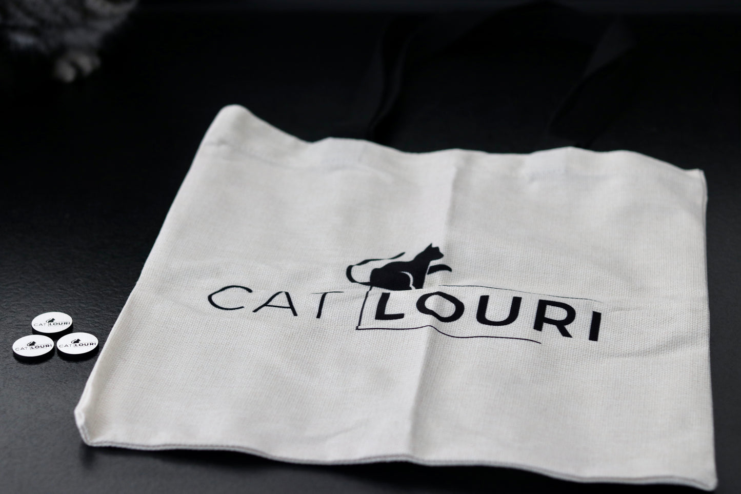 Weihnachtsbox „Pfötchenzauber“ – Das liebevollste Geschenk für dich und deinen Stubentiger