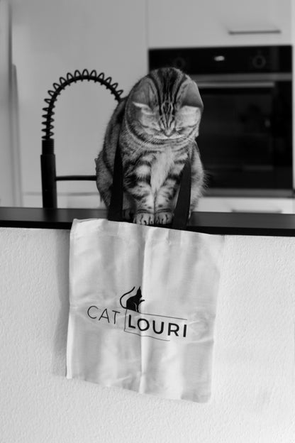 Weihnachtsbox „Pfötchenzauber“ – Das liebevollste Geschenk für dich und deinen Stubentiger