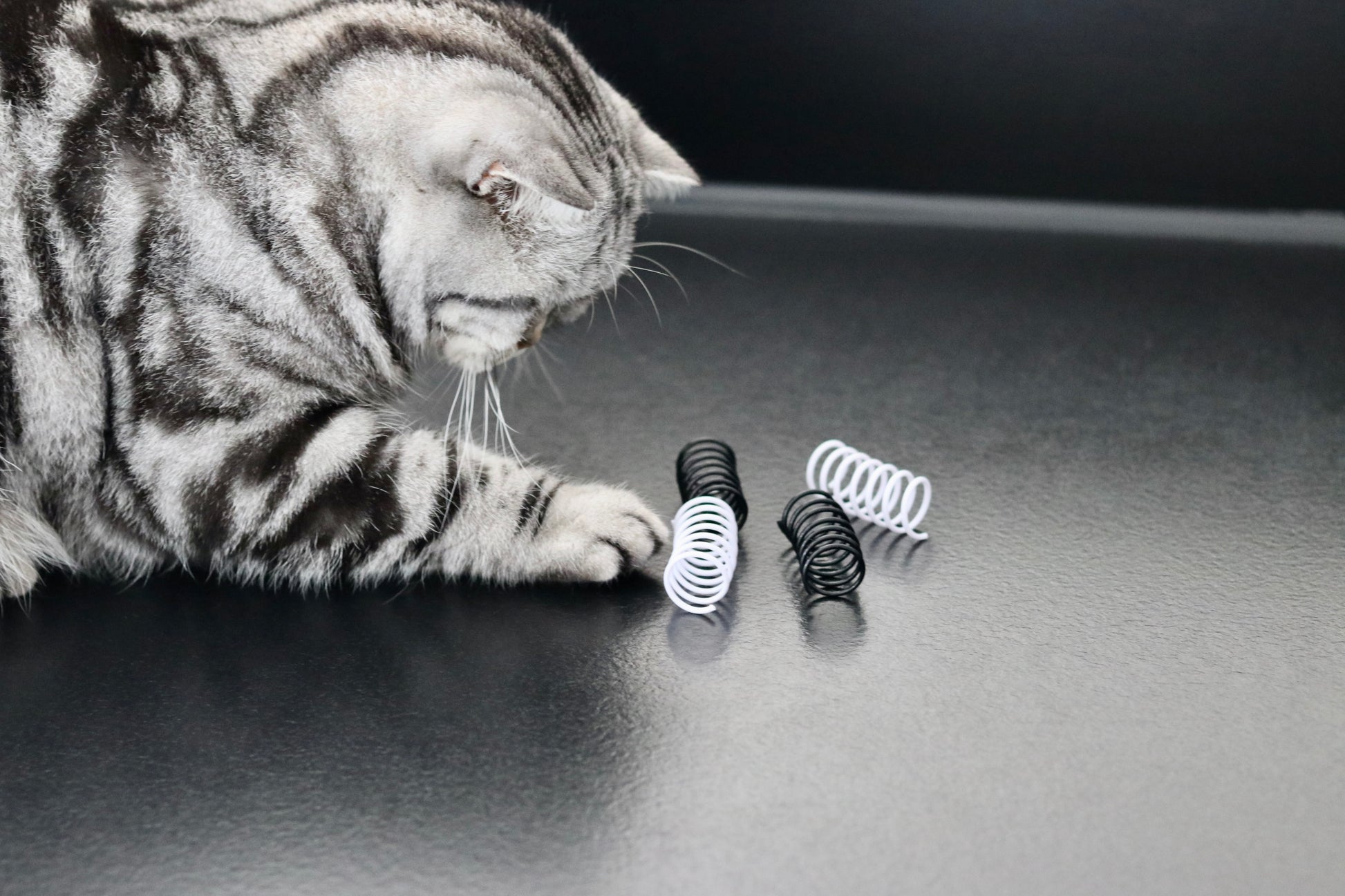 Schwarz-weiße Spielzeug-Spiralen für Katzen