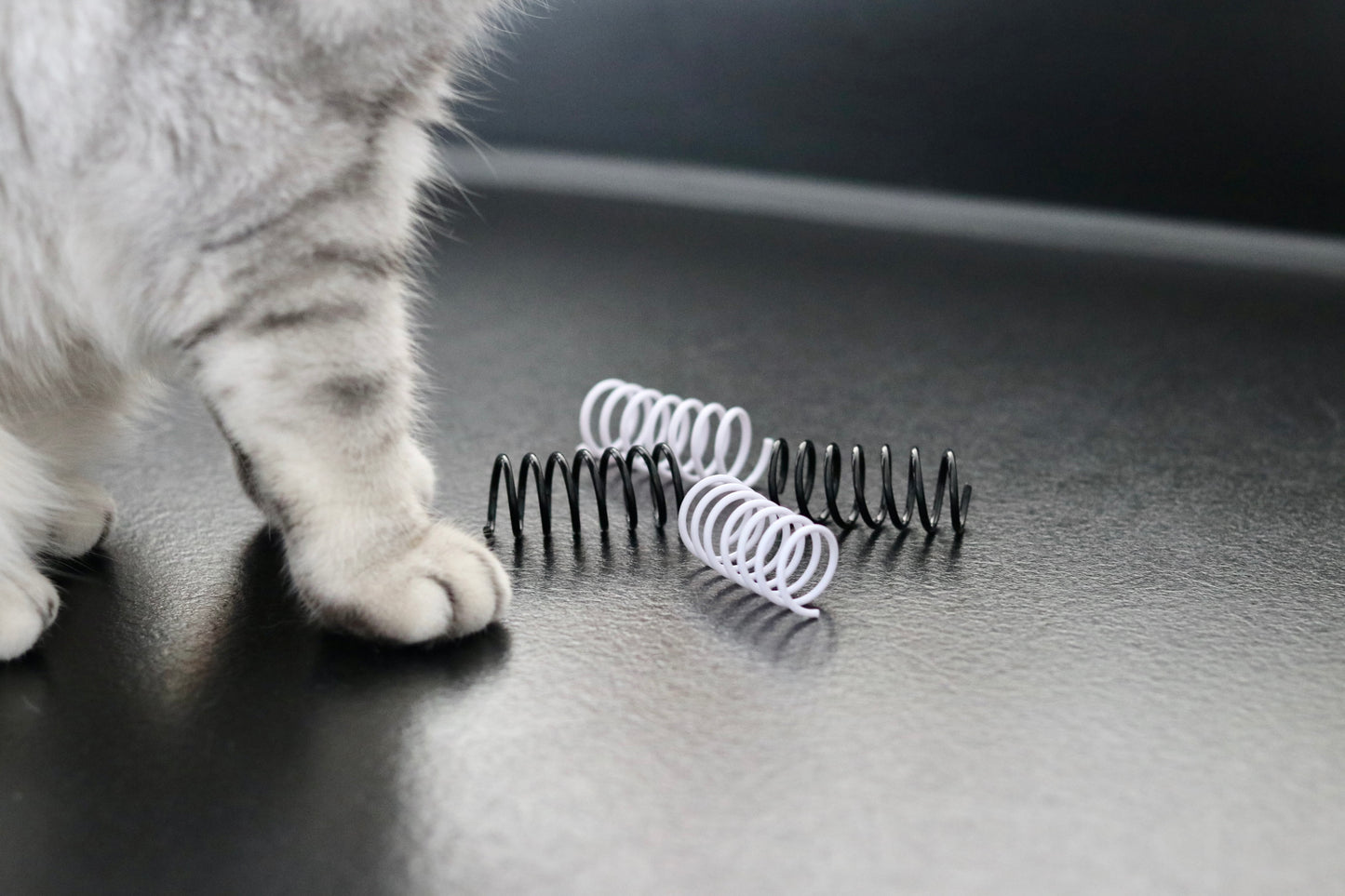 Schwarz-weiße Spielzeug-Spiralen für Katzen auf hellem Boden