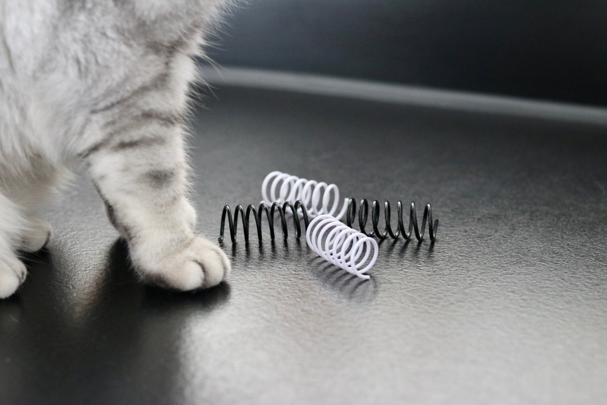 Schwarz-weiße Spielzeug-Spiralen für Katzen auf hellem Boden