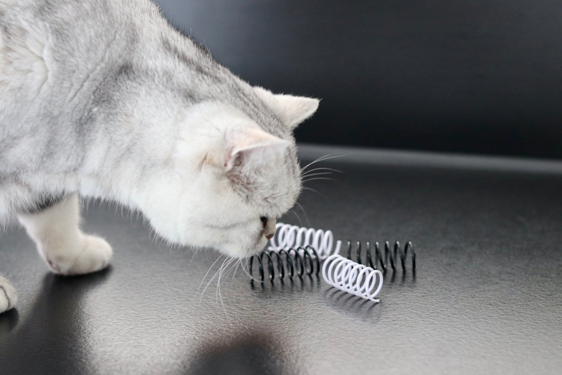 Schwarz-weiße Spielzeug-Spiralen für Katzen auf hellem Boden