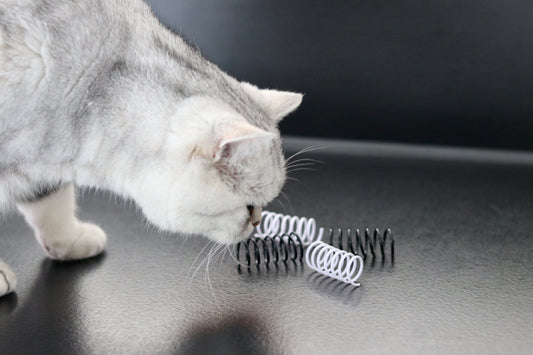 Schwarz-weiße Spielzeug-Spiralen für Katzen auf hellem Boden